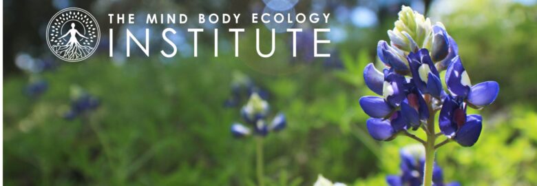 The Mind Body Ecology Institute